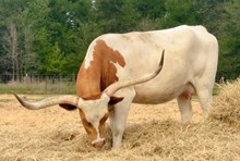 Miracle In The Storm